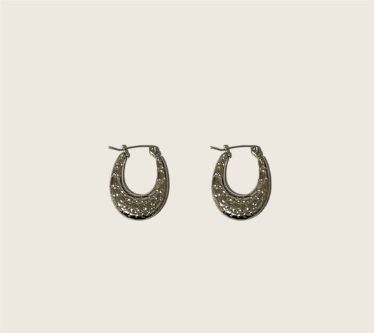 Silver Scaled Hoops